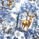 Tecido de algodão - paisagem de Natal azul