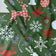 Tecido de algodão - Flocos de neve de Natal e renas, verde