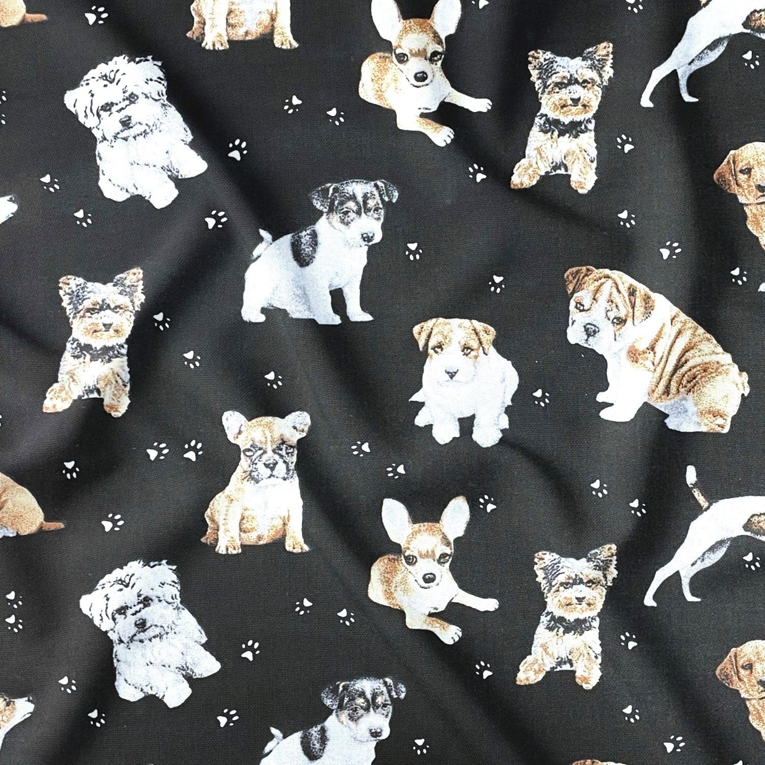 Cotton Fabric - Dogs and Paws on Black